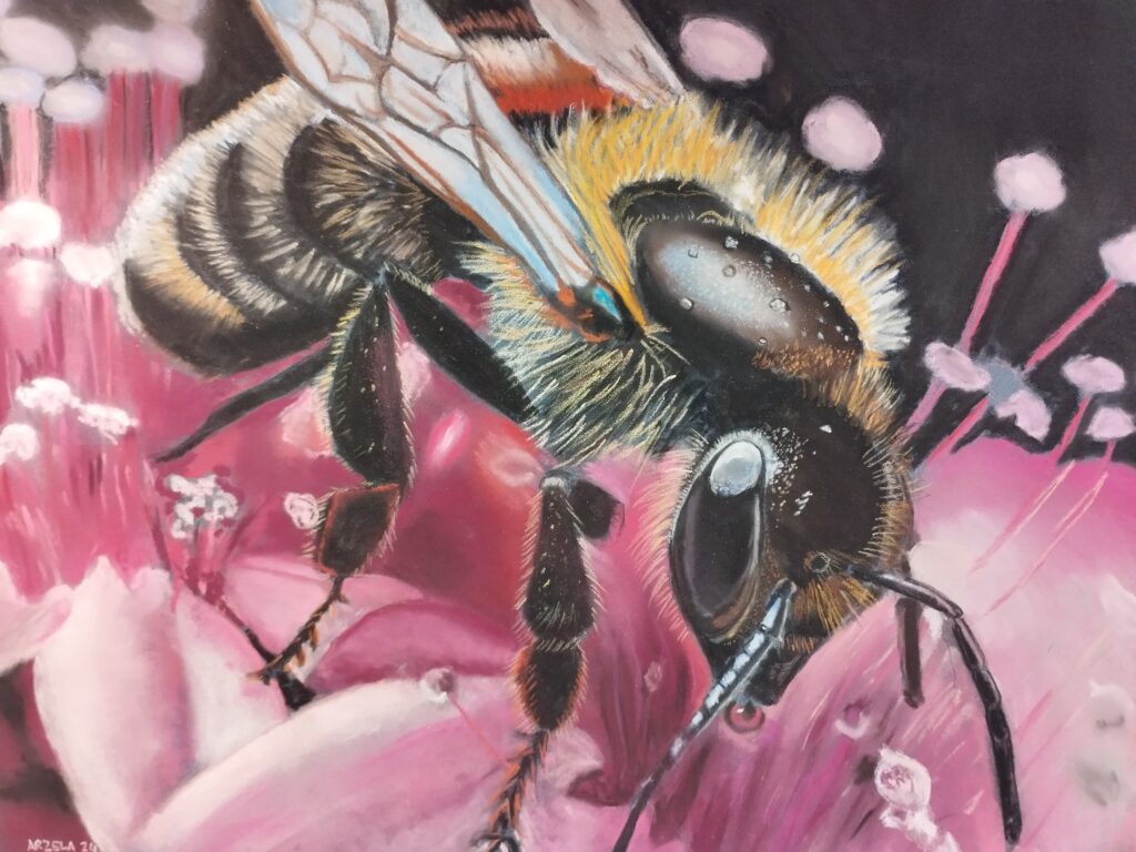 Abeille